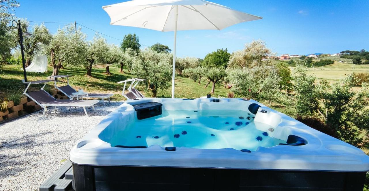 The Olive Grove In Tuscany Toiano Dış mekan fotoğraf